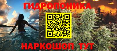 гидра Комсомольск-на-Амуре